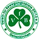VfB Fallersleben